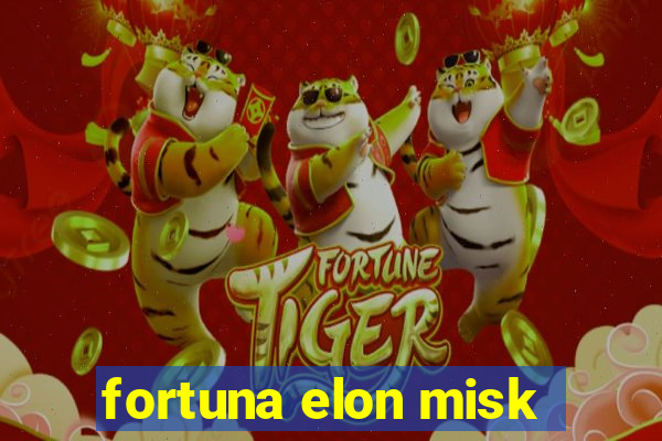 fortuna elon misk