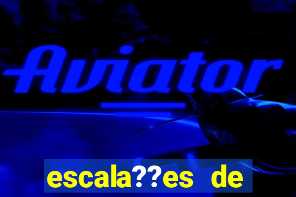 escala??es de manchester city x brentford