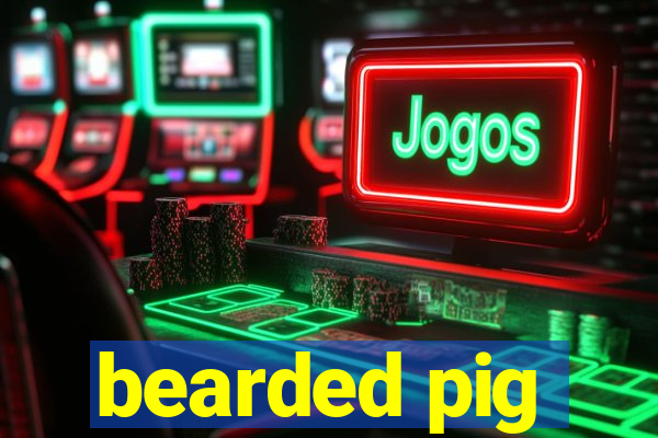 bearded pig