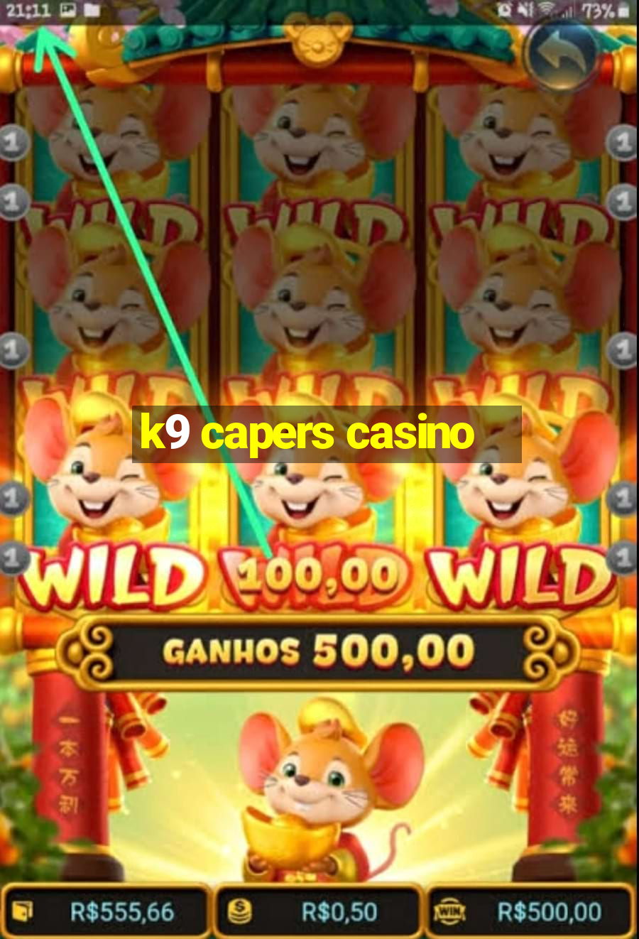 k9 capers casino