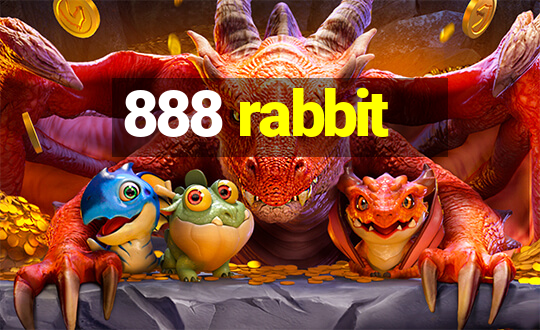 888 rabbit