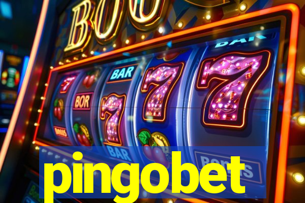 pingobet