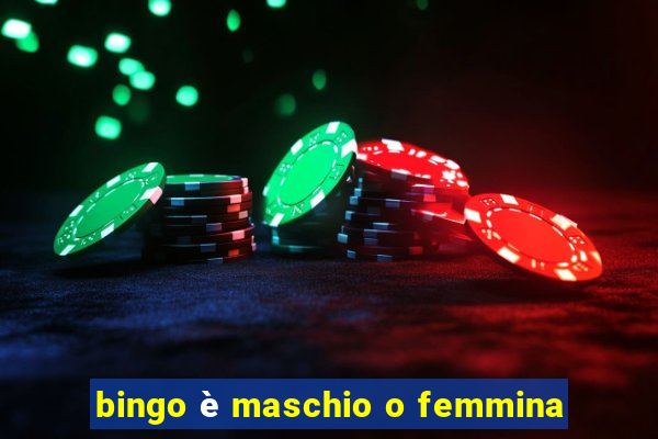 bingo è maschio o femmina