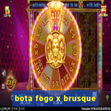 bota fogo x brusque