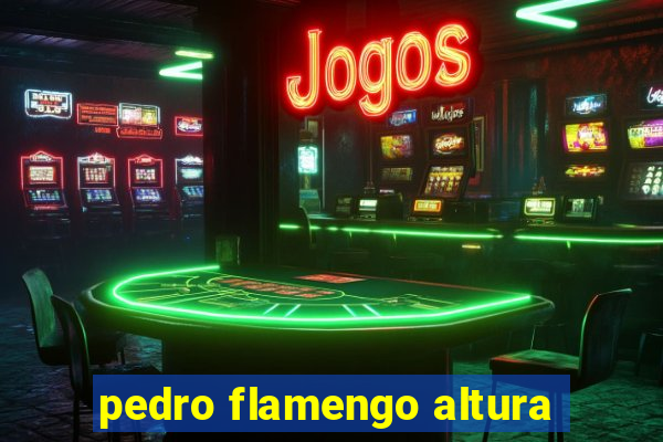 pedro flamengo altura