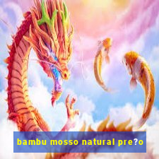 bambu mosso natural pre?o