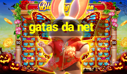 gatas da net