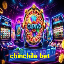 chinchila bet