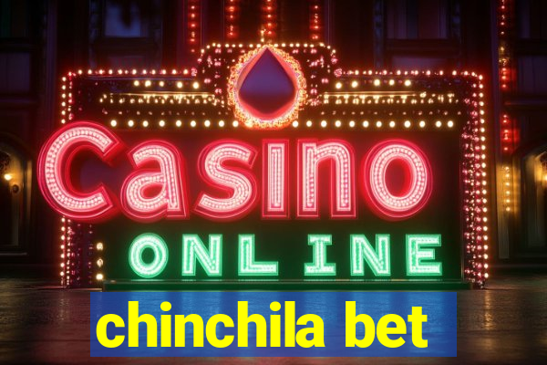 chinchila bet