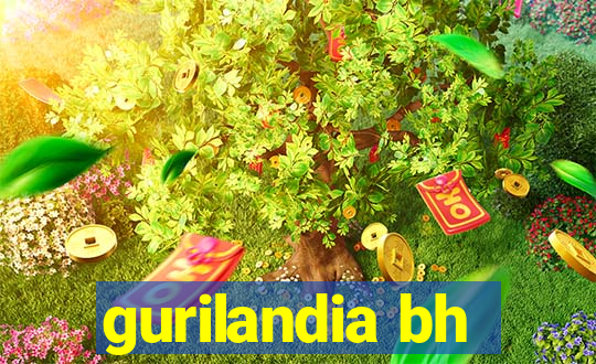 gurilandia bh