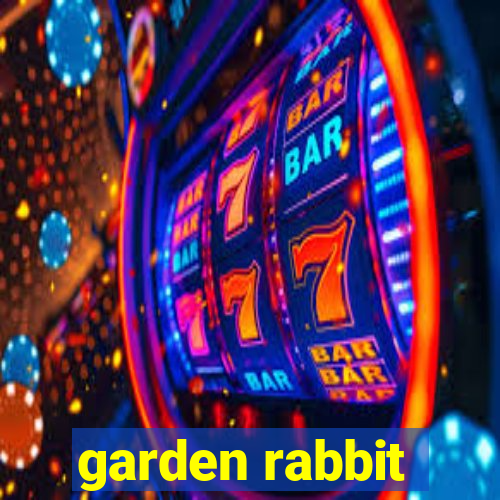 garden rabbit