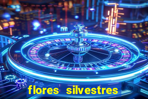 flores silvestres desbravadores desbravadores 25 flores silvestres e seus nomes