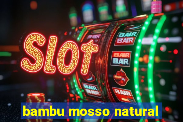 bambu mosso natural