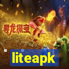 liteapk