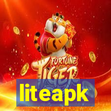 liteapk