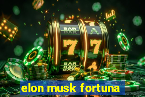 elon musk fortuna