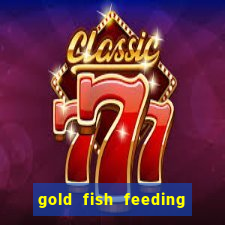 gold fish feeding time treasure slot online