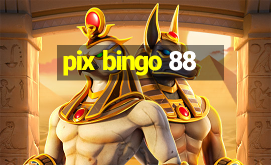 pix bingo 88