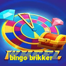 bingo brikker