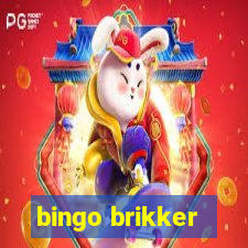 bingo brikker