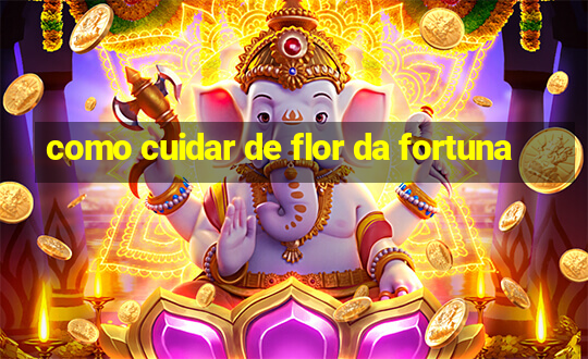 como cuidar de flor da fortuna