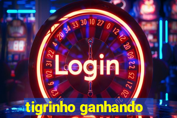 tigrinho ganhando