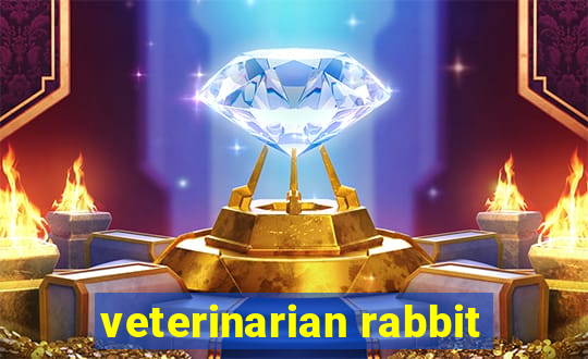 veterinarian rabbit