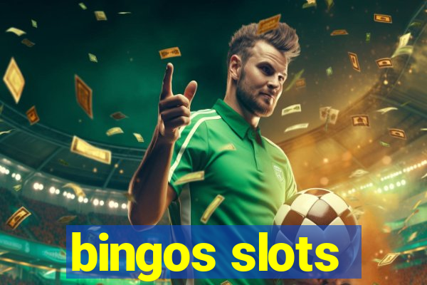 bingos slots