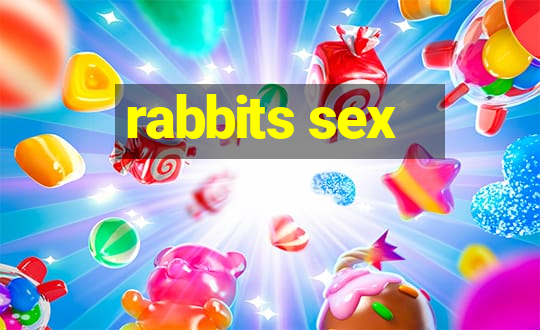 rabbits sex