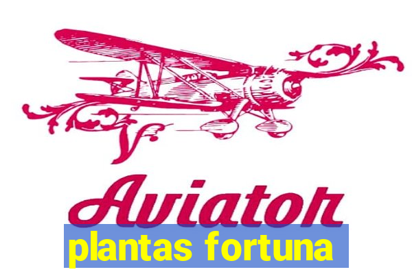 plantas fortuna