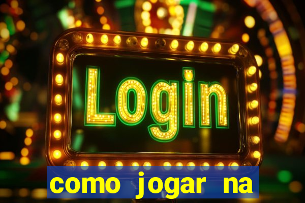 como jogar na loteca pela internet