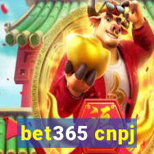 bet365 cnpj