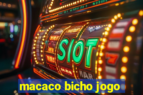 macaco bicho jogo