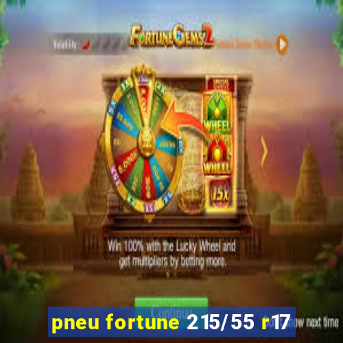 pneu fortune 215/55 r17