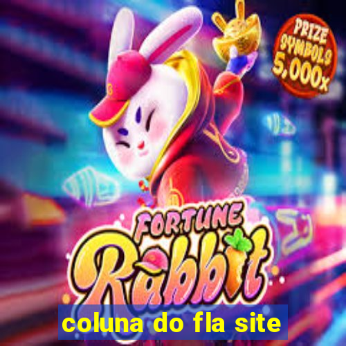 coluna do fla site