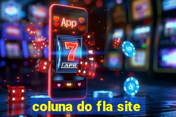 coluna do fla site