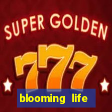 blooming life studio and spa