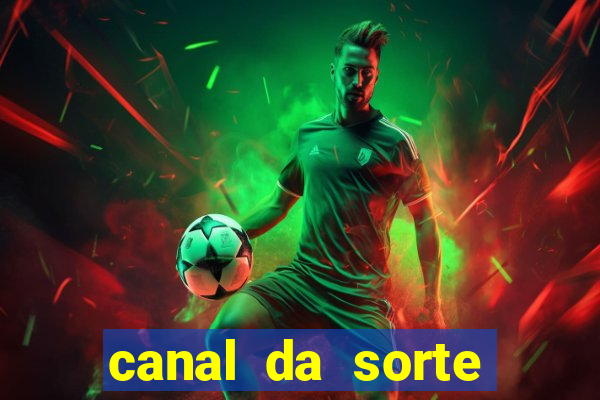 canal da sorte bingo de hoje