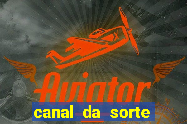 canal da sorte bingo de hoje