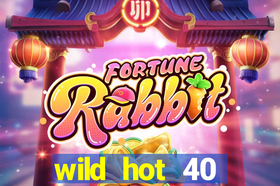 wild hot 40 christmas slot