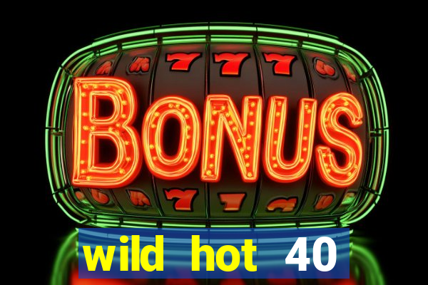 wild hot 40 christmas slot