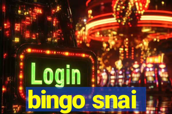 bingo snai