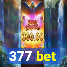 377 bet