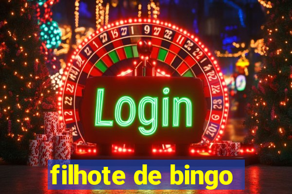 filhote de bingo