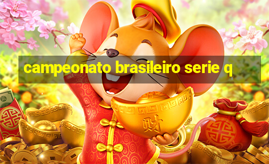 campeonato brasileiro serie q