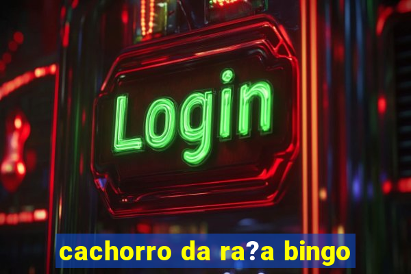 cachorro da ra?a bingo