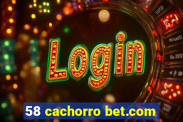 58 cachorro bet.com