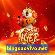 bingoaovivo.net