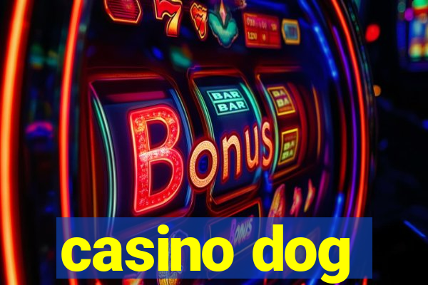 casino dog