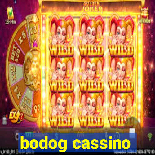 bodog cassino